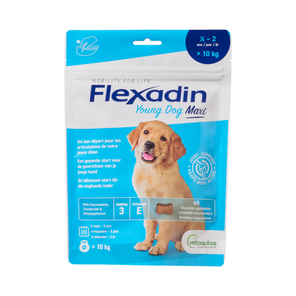 Flexadin Young Dog Maxi för hundar tuggtabletter 60 st