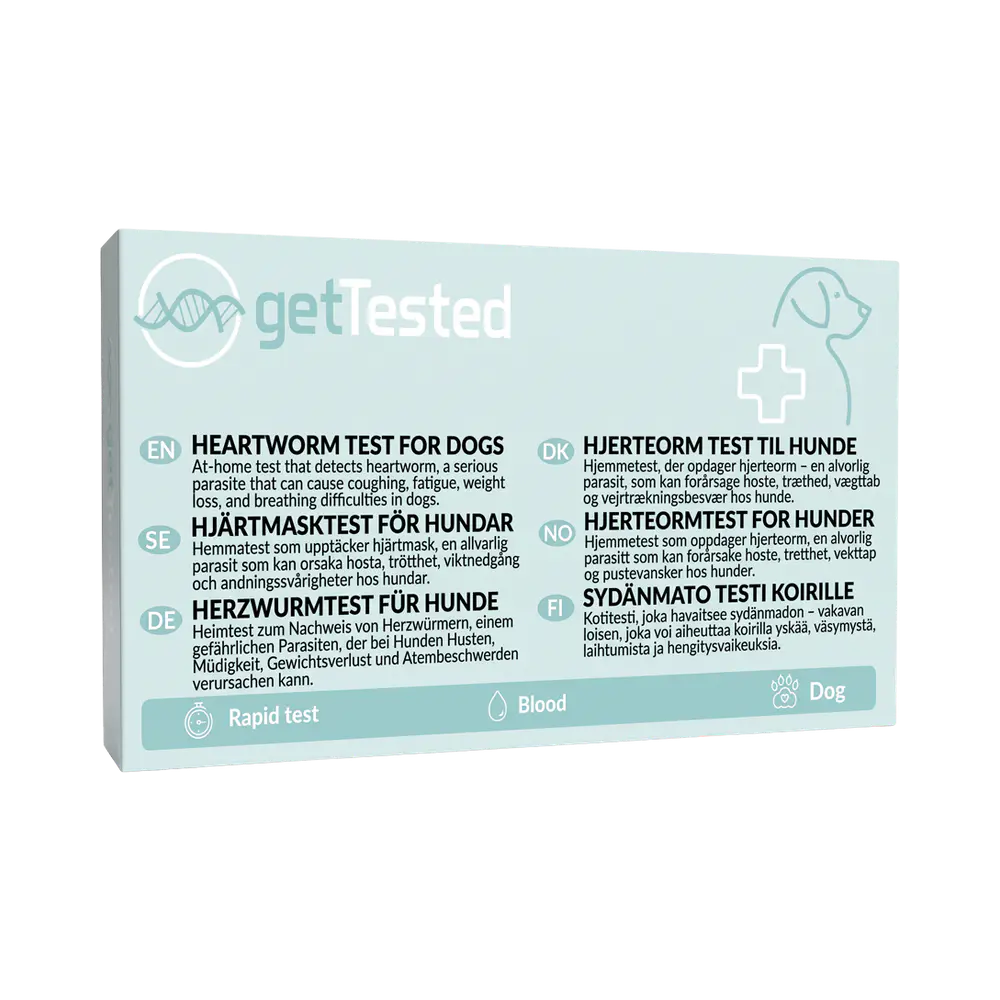 GetTested Hjärtmask för hund snabbtest 1 st