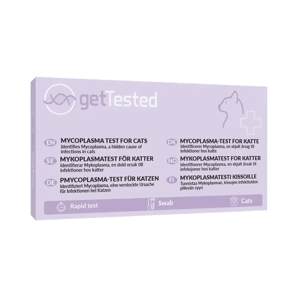 GetTested Mycoplasma Katt snabbtest 1 st